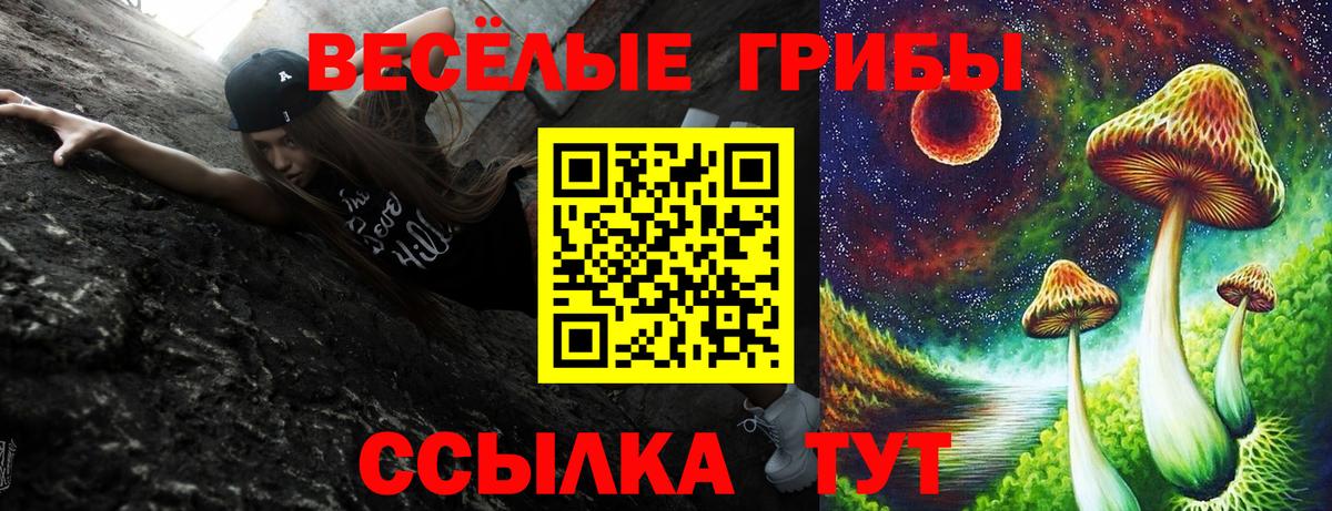 Полысаево  Псилоцибиновые грибы ЛСД  Галлюциногенные грибы Cubensis  Вход с VPN 